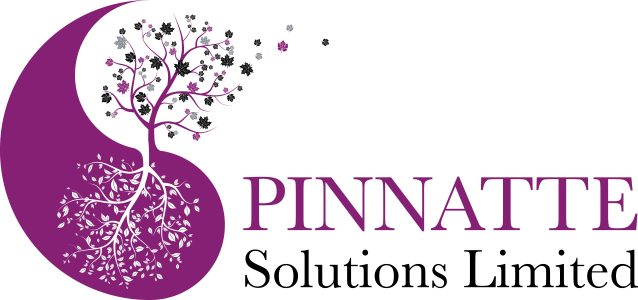 Pinnatte Solutions Logo Retina